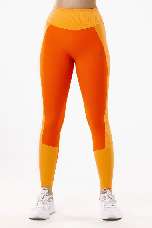 Line Color Leggings